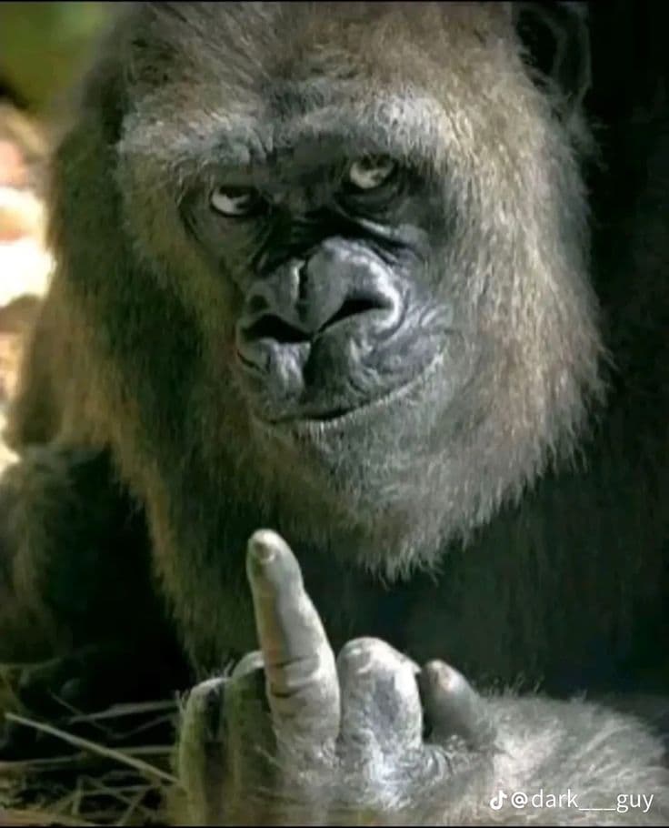 Is there any way you can help me